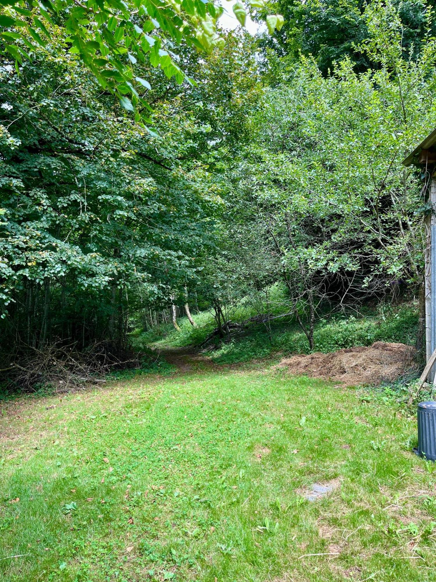Parenthese En Foret - Lodge Baliveau Le Bez  Exterior photo